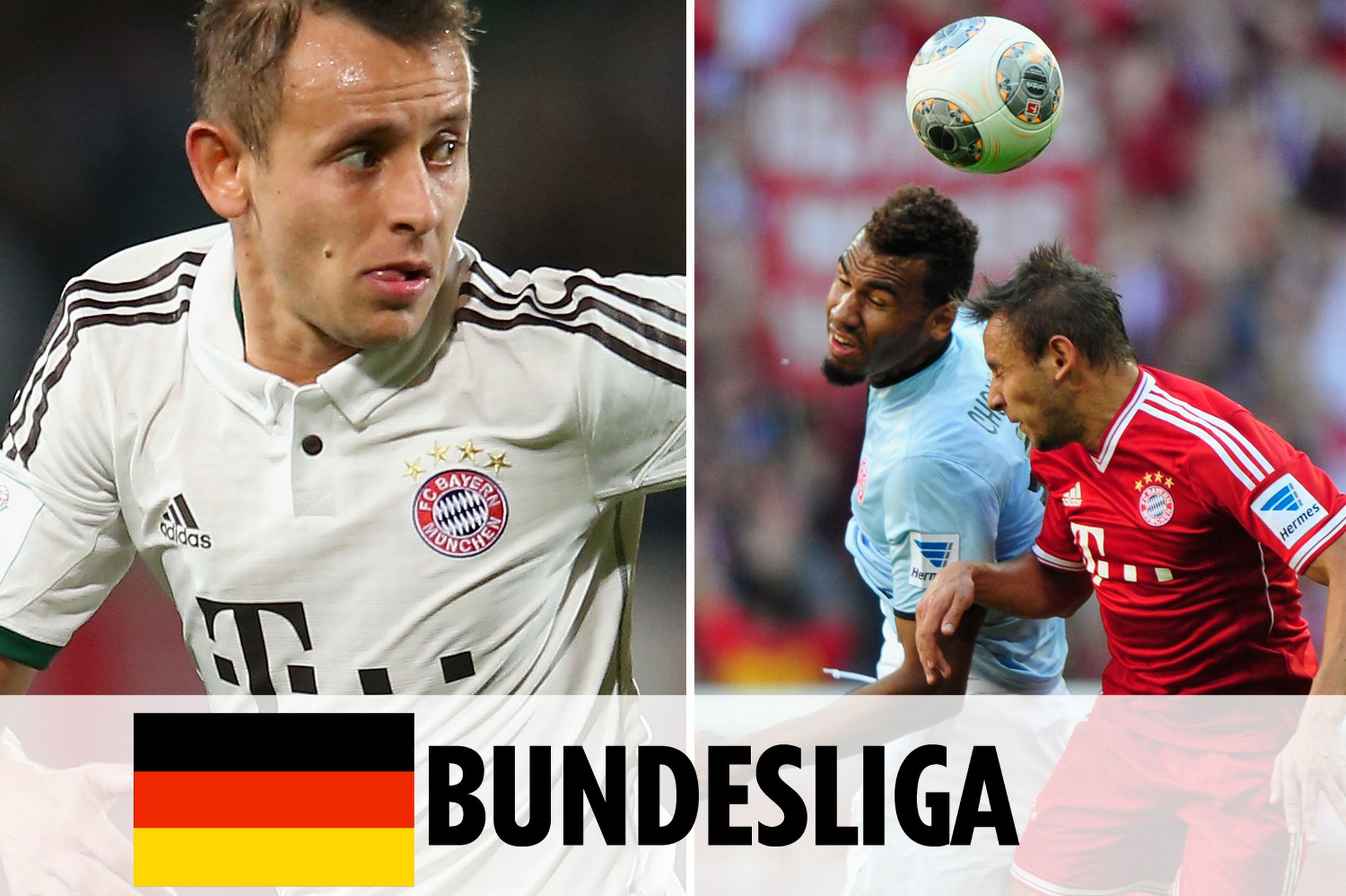 的硬地统治 的硬地统治