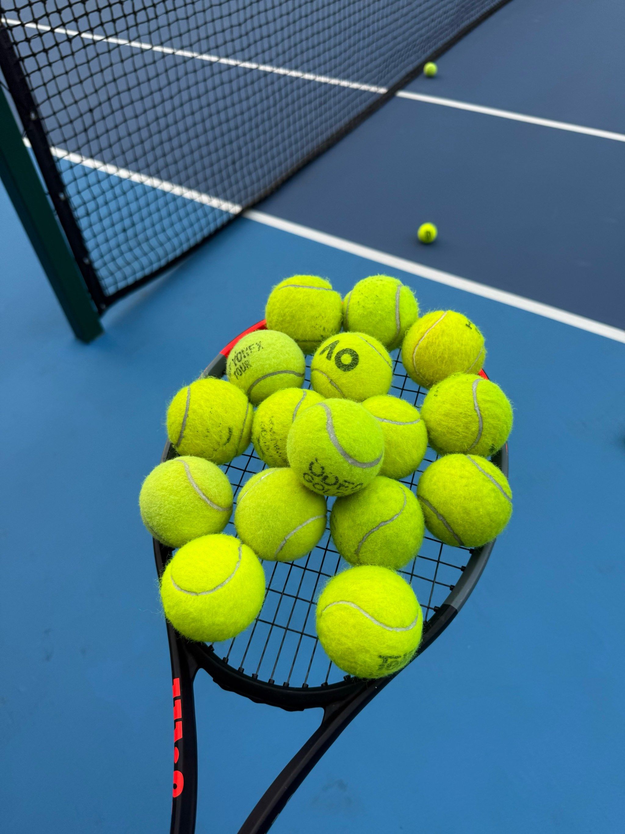 他们期待进 他们期待进