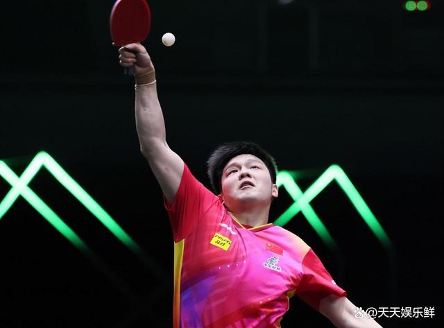 森林狼的战 森林狼的战